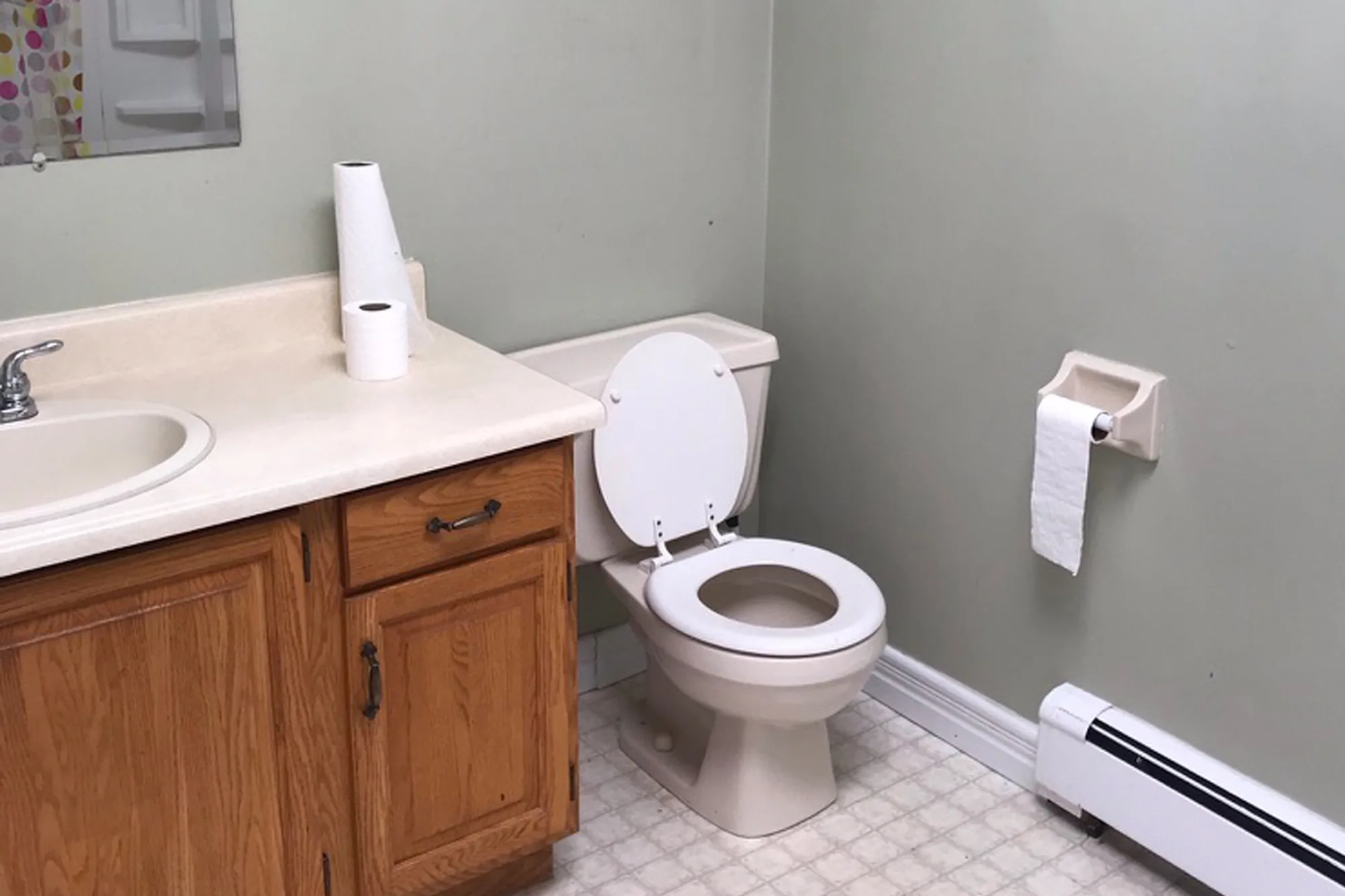 Donaldson Avenue — Main Bath, before the renovation by MAD Design Interiors